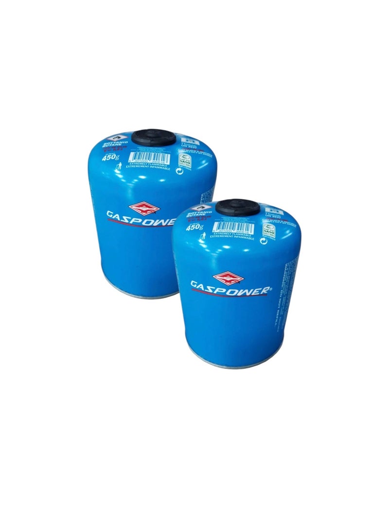 2 Pieces of Large Outdoor Camping Butane Gas 450g